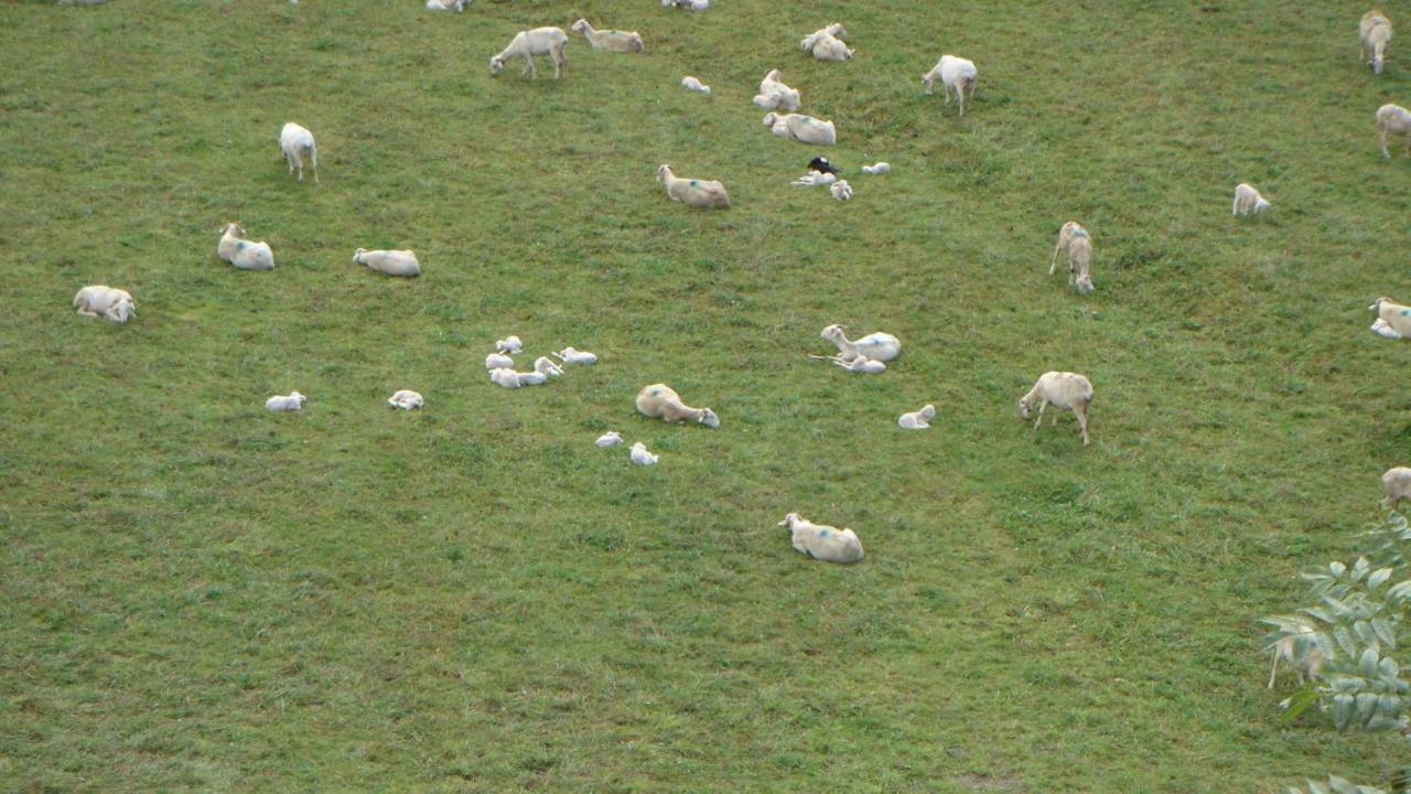 Gite Vallee Des Nestes Bareilles Buitenkant foto